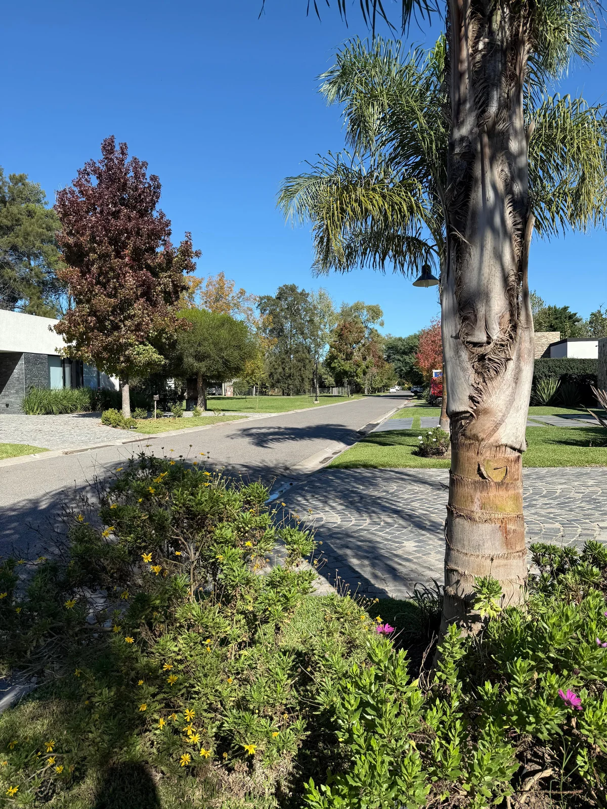 Imagen de Casco de Álvarez